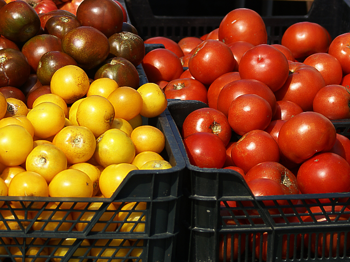 il pomodoro piu buono salsa de tomate ligera 330 ml