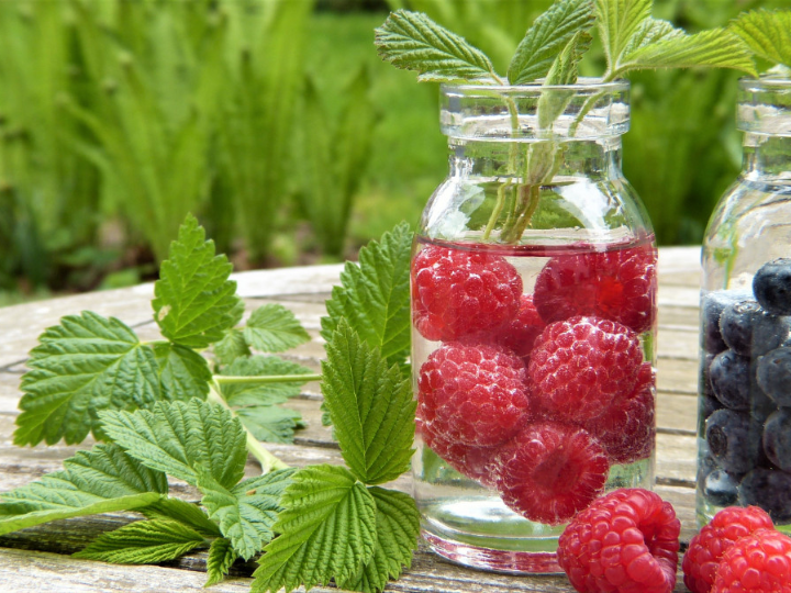 importancia de los nitratos para tus plantas