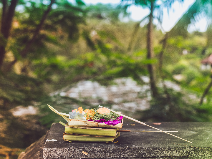 incienso padmini spiritual guide 1 pack 8 sticks