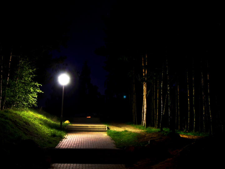 lamparas led foresti suardi