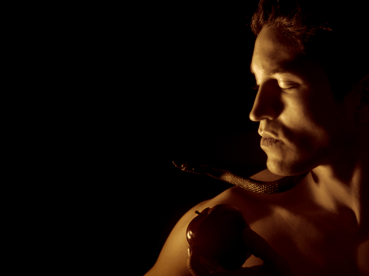 manzanilla san leon clasica