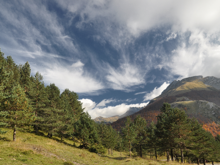 mejores ortopedia en huesca cerca de mi