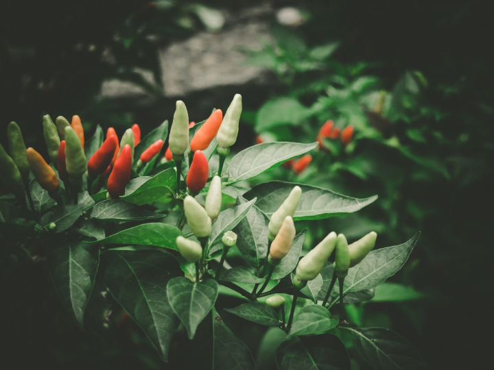 mujeres que follan 3a ed