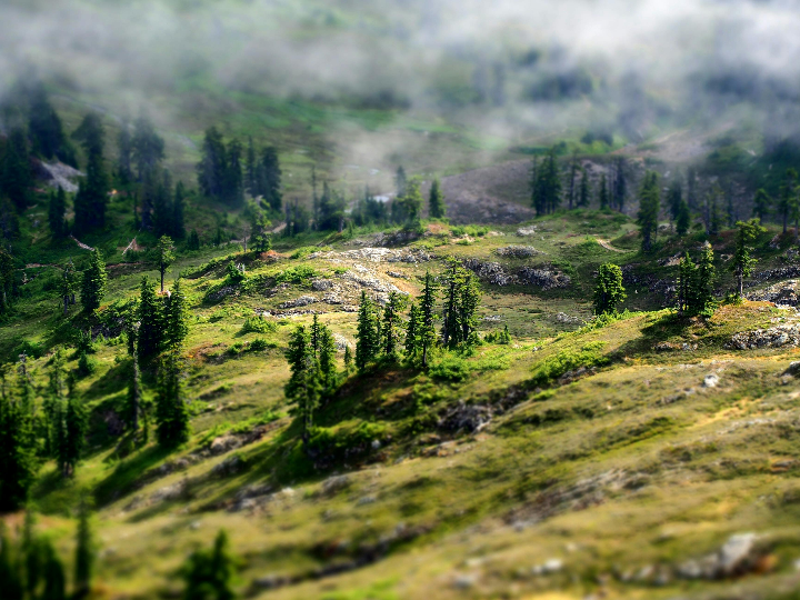 natural earth colors dark iris blonde