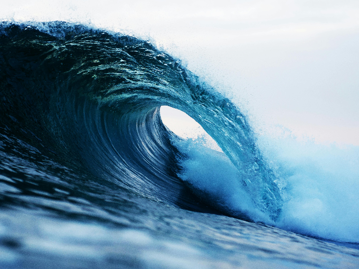 next waves la revolucion de las tendencias en ropa y complementos de moda