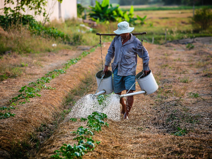 nuevas ayudas del kit digital para agricultores y ganaderos