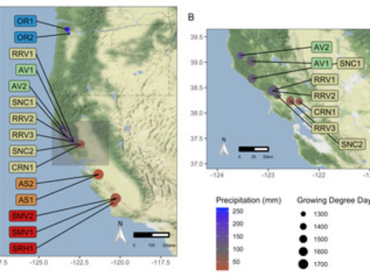 nutergia ergyphiluso atb microbiota alterada 30caps