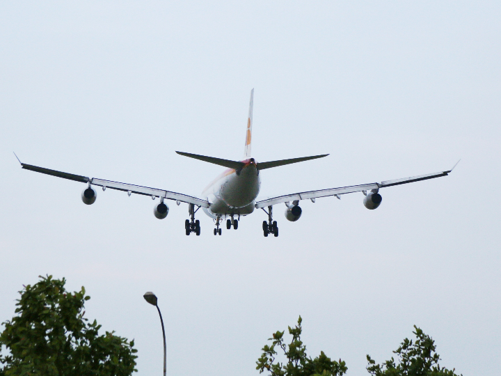 paula mayoral de tierra sin limites