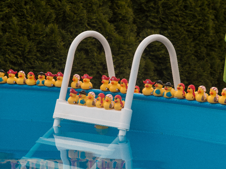 piscina desmontable ovalada bosque