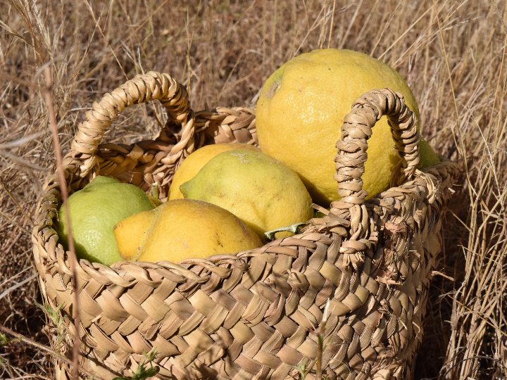 precio de harvest basket gajos de patata 750 g