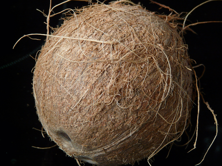 romberg sustrato para macetas de fibra de coco prensada aprox 7 8 l