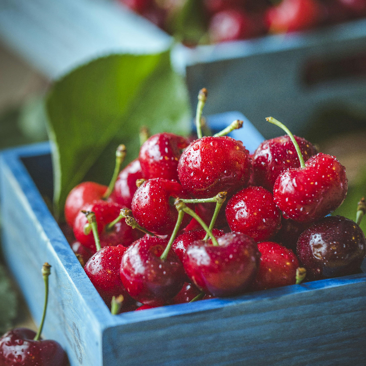 scientiffic nutrition tart cherry