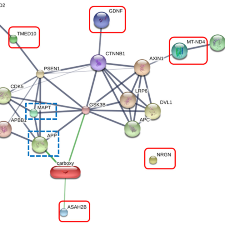 serum hydra plumping peptide celestine earth harbor 30ml