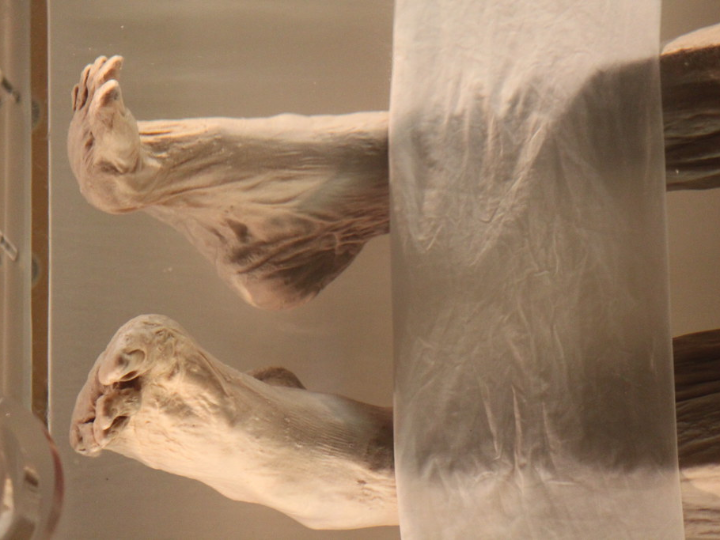 shop rui xin 213 products online in spain