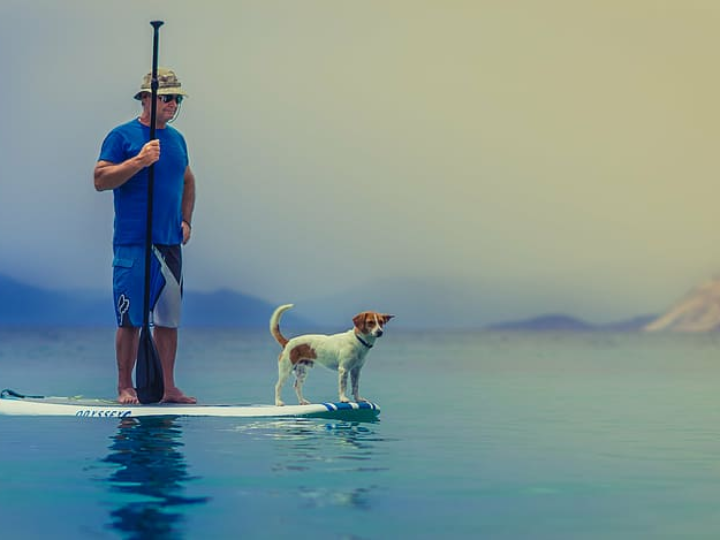 sobaqueras desechables hombre y mujer