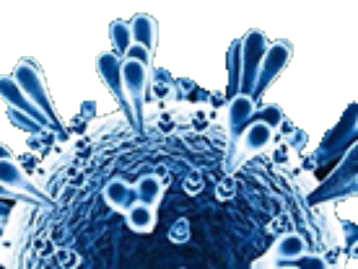 solaray zinc citrato 50mg semillas calabaza 60 capsulas