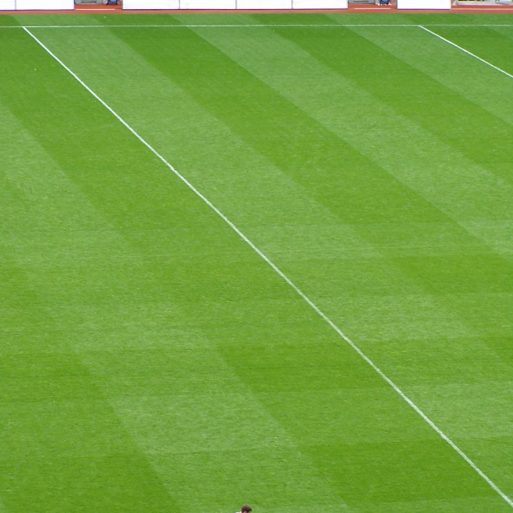 striping en la siega de cesped estetica vs funcionalidad