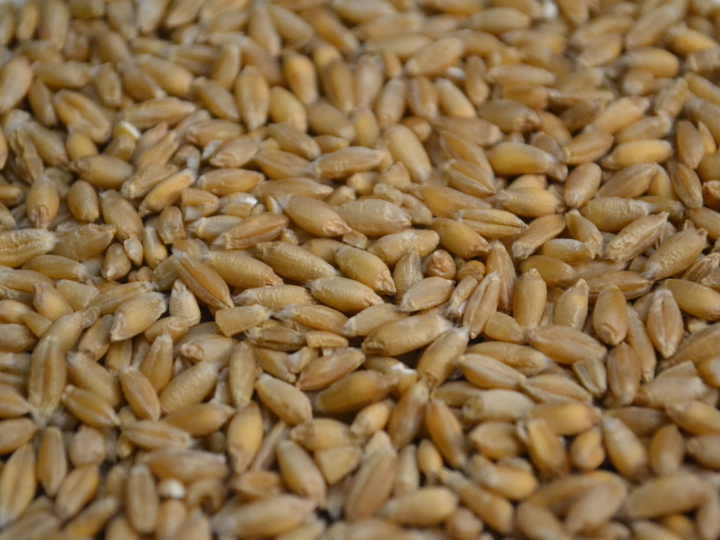 tarta de chuches vegana analisis y comparativa de las mejores opciones en carrefour