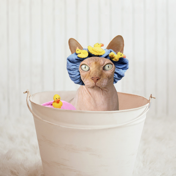 tendencia urbana analisis de la gorra deus ex machina en moda