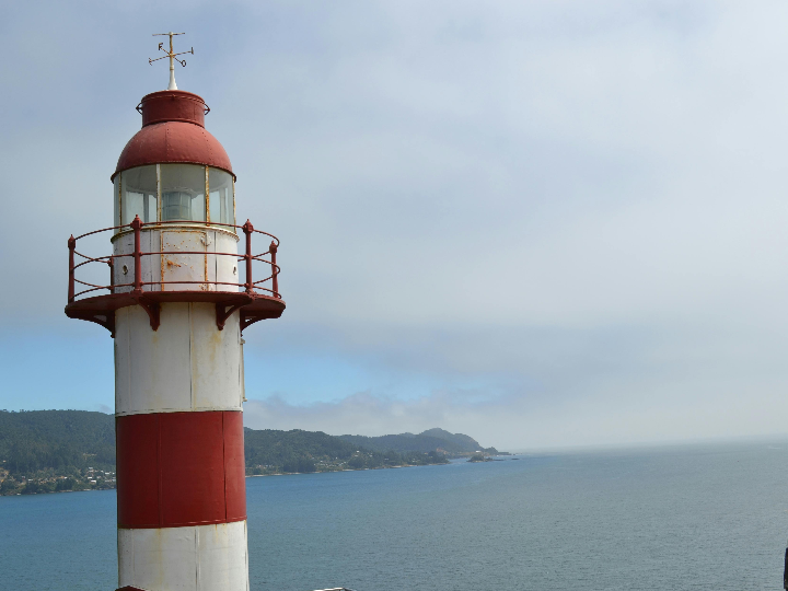 tendisulfur forte 14 sobres