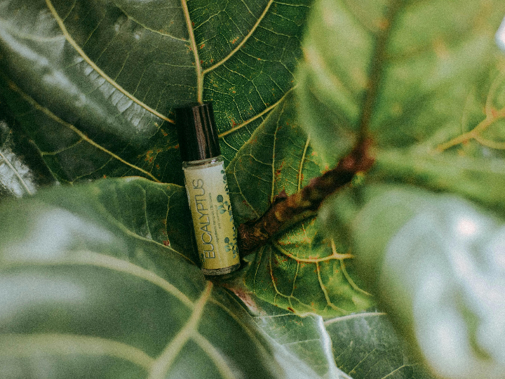 tiendas para comprar cbd en lloret de mar