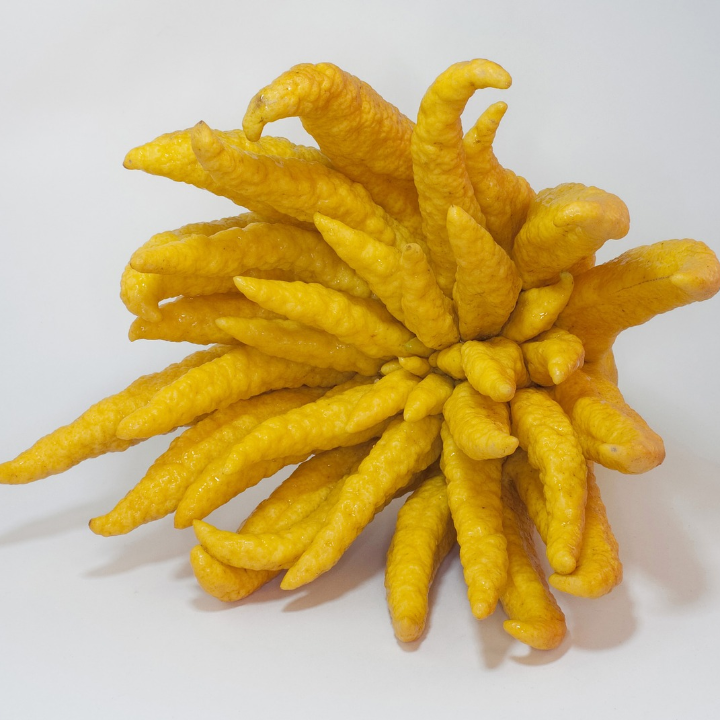 todo lo que debes saber sobre la guanabana en mercadona beneficios usos y disponibilidad