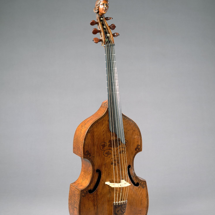 uva tintilla de rota caracteristicas y peculiaridades