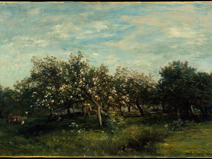 vestido fiesta dolcezza moda 8039